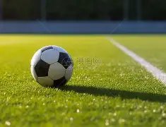 惊喜连连,独家揭秘,彩票,山东体彩,山东体彩网,山东体彩网官网,体育彩票,体彩大乐透,竞彩足球,体彩公益