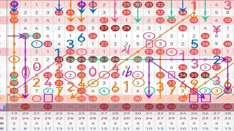 【独家揭秘】2026033期福彩3D，今晚专家倾力预测，一注中奖秘籍等你来拿！