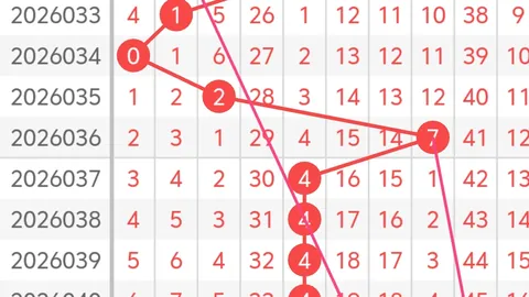 双色球2026021期闾丘思涵预测分析