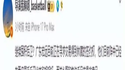 2026赛季精彩回顾山东体彩网官网：5战全胜，20投15中，季后赛半决赛胜负解析