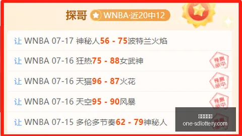 冰岛足球盛宴：连胜脚步不停，战绩亮眼解析